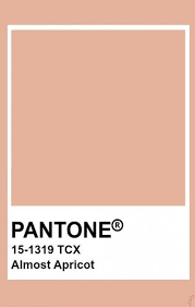 Nails Neutral Colors Designs Colour 28 Super Ideas Pantone Colour Palettes Brown Pantone Pantone Color