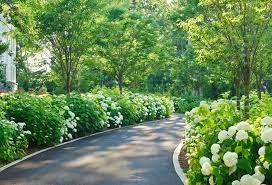 Ideas for landscaping circular driveways. Image Result For Long Narrow Driveway Landscaping Ideas Driveway Landscaping Traditional Landscape Landscape Design