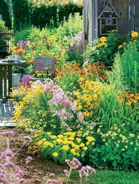 Schnittblumen Aus Dem Garten Schnittblumen Garten Garten Gestalten