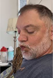 Enjoy Mornings with Iris: Pet Sparrow Adventures