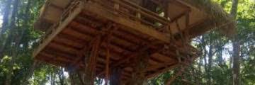 Maybe you would like to learn more about one of these? Proposal Pengelolaan Hutan Sebagai Tempat Wisata 10 Ide Penelitian Taman Hutan Raya Sebagai Tempat Wisata Cakrawala