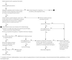 Diagnosis Initial Management And Prevention Of Meningitis