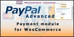 Paypal Advanced Payment Gateway For Woocommerce Stylelib Woocommerce Payment Gateway Woocommerce Wordpress Themes