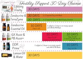 Fertility Support 30 Day Cleanse The Essential Midwife