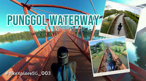 Lorong halus wetland punggol connector is a location in , singapore, singapore | maps, information and comments for lorong halus wetland punggol connector on travelful.net. Punggol Waterway Bridges Lorong Halus To Jewel Bridge Cycling Singapore Youtube