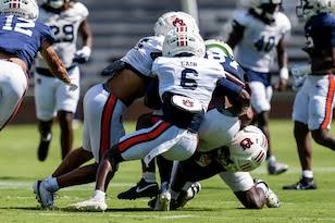 Auburn Tigers Sports - AL.com
