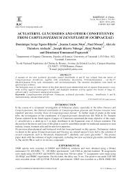 Image result for Campylospermum densiflorum