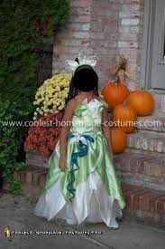 Optional additional items include figures and weapons seen in the series! Coolest Homemade Princess Tiana Costume
