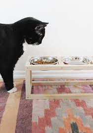 Un Petit Coin Repas Pour Chat Diy Chat Jouet Pour Chat Gamelle Chat