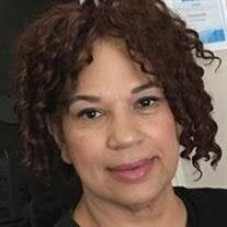 Robin Bristow-Void Obituary