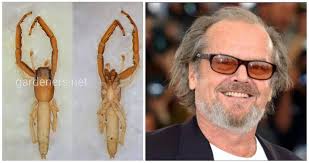 Животные и растения названные в честь актеров