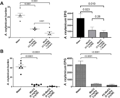 Recombinant Paraprobiotics As A New Paradigm For Treating Gastrointestinal Nematode Parasites Of Humans Biorxiv