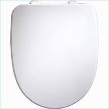 Abattant Wc Frein De Chute Leroy Merlin Gamboahinestrosa