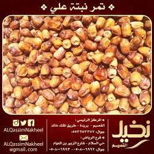 تمر نبتة علي نخيل القصيم تمر تمور التمور مهرجان قوت قوت رمضان نبتة علي قهوة Dates Saudi Ramadan Food Vegetables Beans