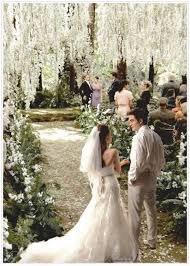 Pin By Hot Rox And Rustic For Men On Wooded Wedding Twilight Wedding Breaking Dawn Wedding Redwood Forest Wedding