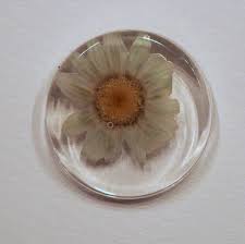 Maybe you would like to learn more about one of these? Techniques To Embed Flowers In Resin 12 Steps With Pictures Instructables