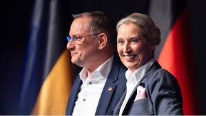 sonntagsfrage