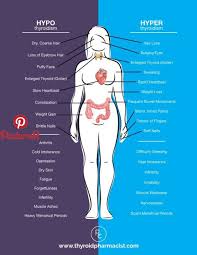 What S Really Going On In Hashimoto S Learning About Hashimoto S Pinterest Hypothyroidism Symptoms Hypothyroidism And Thyroid Health Hypothyroidism Symptoms Hyperthyroidism Thyroid Health