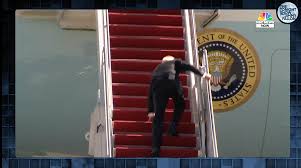 Image result for Bidens steppia