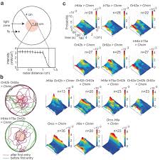 This Path Model Examines How Locomotion Is Governed In Response To The... |  Download Scientific Diagram