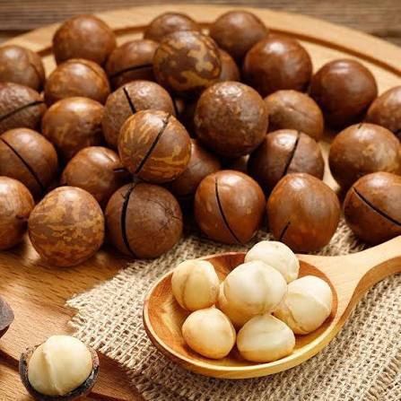 Macadamia Nuts South Africa