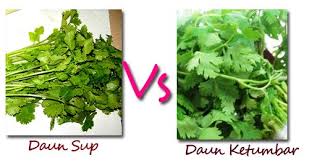 Or any of the other 9309 slang words, abbreviations and acronyms listed here at internet slang? Daun Sup Vs Daun Ketumbar