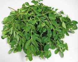 With a vibrant green colour and a delicious spinachy taste, use to boost green smoothies, juices or as a superfood seasoning for savoury dishes. Moringa Leaves Buy In Neemuch