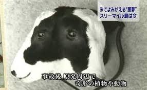 May 21, 2021 · 野生動物は割りと普通におるみたいやし植物の成長は酸素量より気候や土壌に依存すると思うんやけど 314: 6 ãƒ‰ã‚¯ã‚¿ãƒ¼ã‚³ãƒã®ã‚«ãƒ³ã‚¿ãƒ³å…ç–«ãƒ€ã‚¤ã‚¨ãƒƒãƒˆ