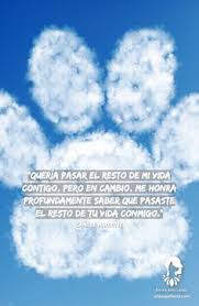 Los perros son seres increíbles que han estado con los humanos desde el inicio de la civilización. Las Mejores 32 Ideas De Dia Mundial Del Perro En 2021 Mascotas Frases Dia Mundial Del Perro Amor De Perro