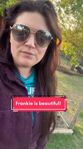 It is has finally happened! Check out Frankie 🦚 #frankiethepeacock  #berniesfarm #peacock #farmlife