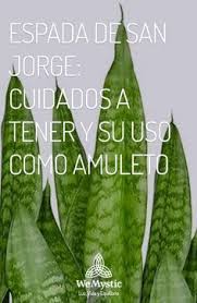 Espada De San Jorge Cuidados A Tener Y Su Uso Como Amuleto Wemystic Espada De San Jorge Plantas De Buena Suerte Plantas