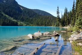 Explorez des propriétés pour acheter, louer ou investir, telles que copropriétés (condos), appartements, maisons, duplex, triplex, quadruplex, multiplex à vendre ou à louer en colombie britannique, canada. Canada Colombie Britannique Joffre Lakes Le Chameau Bleu