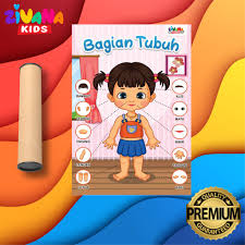 Media mengenal anggota tubuh pada anak dapat melalui lagu gambar dan lainnya. Poster Edukasi Anak Belajar Bagian Tubuh Manusia Cewek Pendidikan Anak Paud Tk Sd Zivana Kids Shopee Indonesia