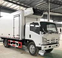 China High Quality ISUZU 5CBM Freezer Box Truck ...