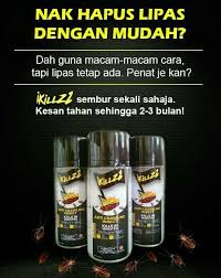 Punca paling utama jadi macam tu adalah disebabkan apa saja manusia makan, lipas juga turut menjadikan makanan itu sebagai buruan mereka. Ada Lipas Dalam Kereta Auto Accessories On Carousell