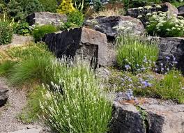 Steingarten Anlegen Ziergraser Stauden Bluhen Weiss Blau Steingarten Garten Steingarten Anlegen