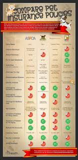 Compare Pet Insurance Policies Infographic Infographics