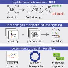 Image result for Cisplatin