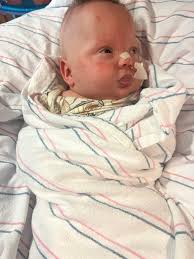 Baylor's Progress Update