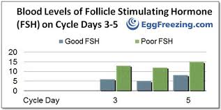 test your ovarian reserve eggfreezing com