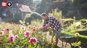 Pin Auf Ideen Fur Meinen Garten