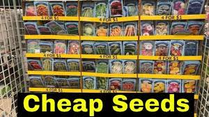 Eucalyptus tree seeded eucalyptus dollar tree flowers plant catalogs tree seeds fruit plants evergreen trees shade trees vegetable garden. Cheap Seeds Dollar Tree Haul Youtube Dollar Tree Haul Dollar Tree Seed Starting Mix