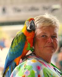 Kate Howarth Digital Comms