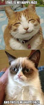 Wojak mask happy face memes alien quickly protected should technology fall into place things wojaks want deactivate permanently forms communication. This Is My Happy Face And This Is My Happy Face Grumpy Cat Vs Happy Cat Make A Meme