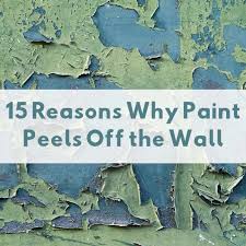 15 Causes Of Peeling Paint On Walls And Ceilings In 2020 Cracked Paint Peeling Paint Painting Walls Tips