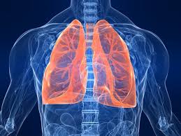 And, the signs and symptoms of lung cancer can differ in males and females. Lung Cancer Signs Symptoms Types Treatment Live Science