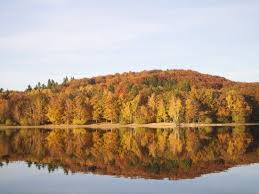 Settons Cottages Le Blog De Destination Peche Saone Et Loire Parc Naturel Lac Des Settons