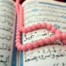 desertrose qur an kareem و ل ق د ي س ر ن ا ال ق ر آ ن ل لذ ك ر ف ه ل م ن م د ك ر and we have cer islam allah islam quran quotes inspirational