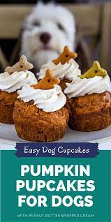 Pumpkin Pupcakes Dog Cupcakes Crazy For Crust Recipe Dog Biscuit Recipes Dog Treats Homemade Recipes Dog Cake Recipes