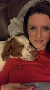 Lost dog Bowser in Huntersville area